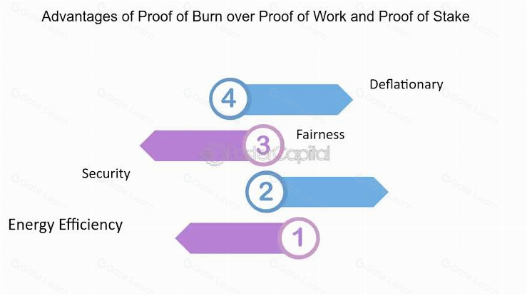 燃烧证明机制如何运作？深入解析Proof-of-Burn原理