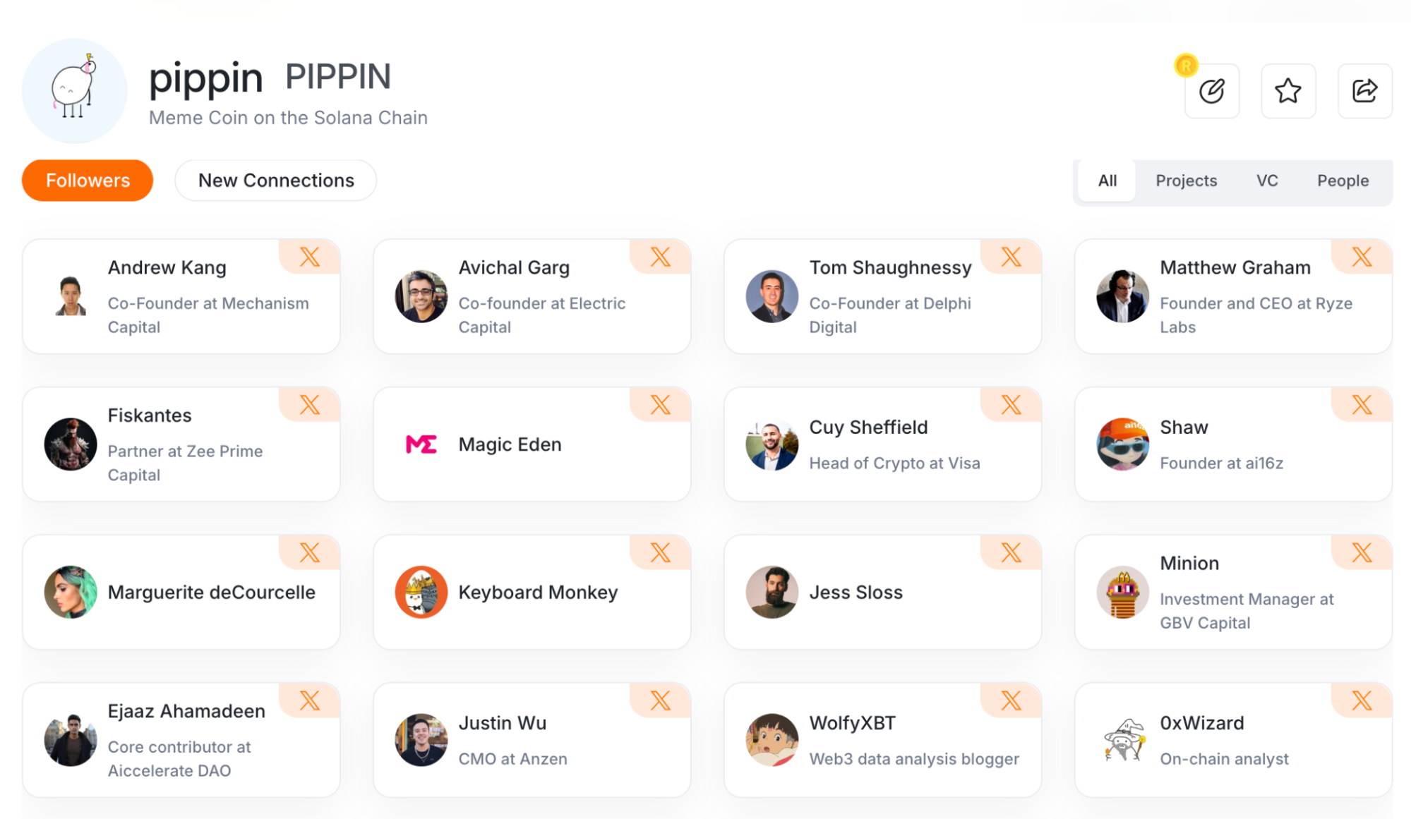 Pippin是什么 区块链技术解析与应用场景
