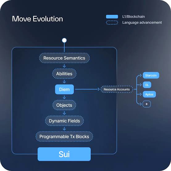 Sui 生态系统完全指南：深入探索与掌握 Sui 生态
