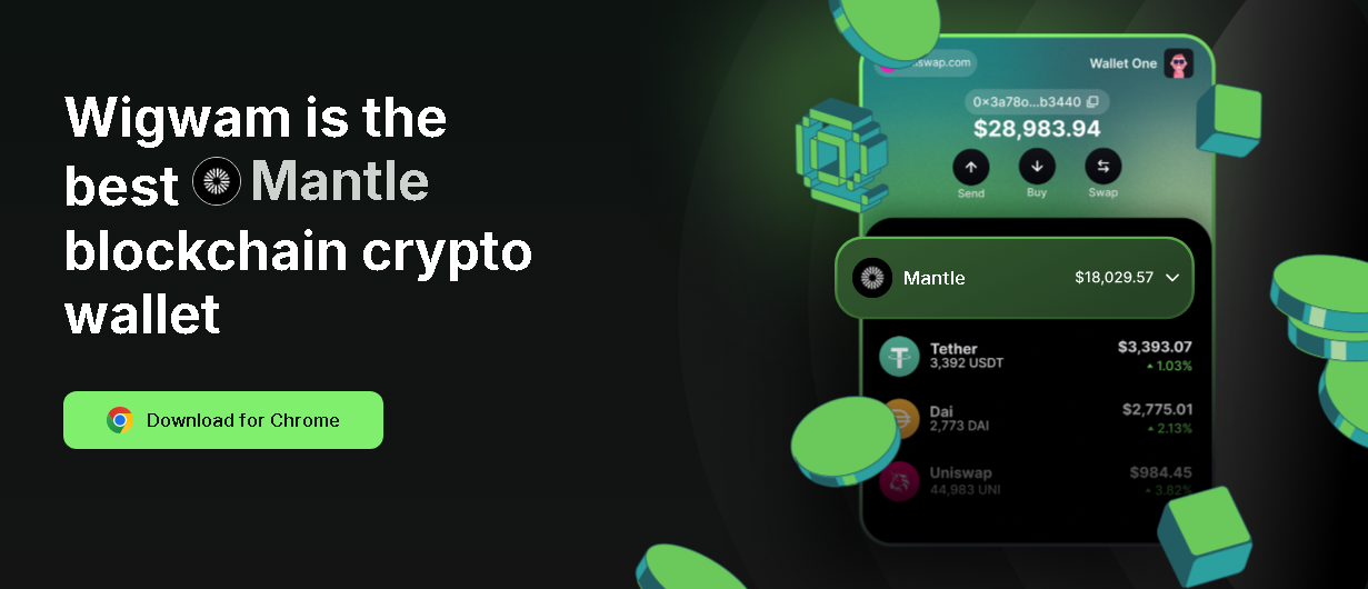 Top 5 Best Wallets for Mantle Network in 2024