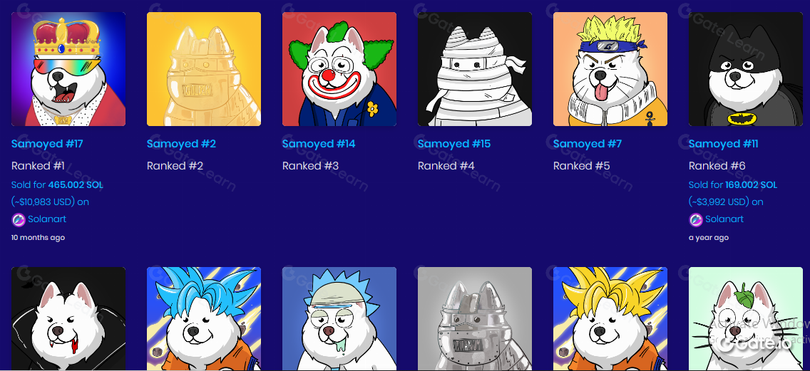 SamoyedCoin (SAMO) 是什么？全面解析这一加密货币