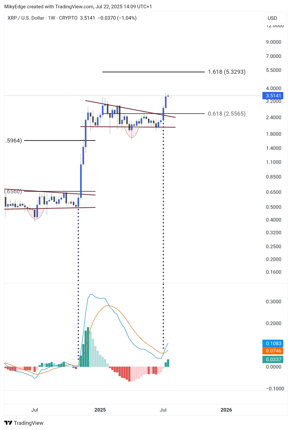 XRP长期价格预测