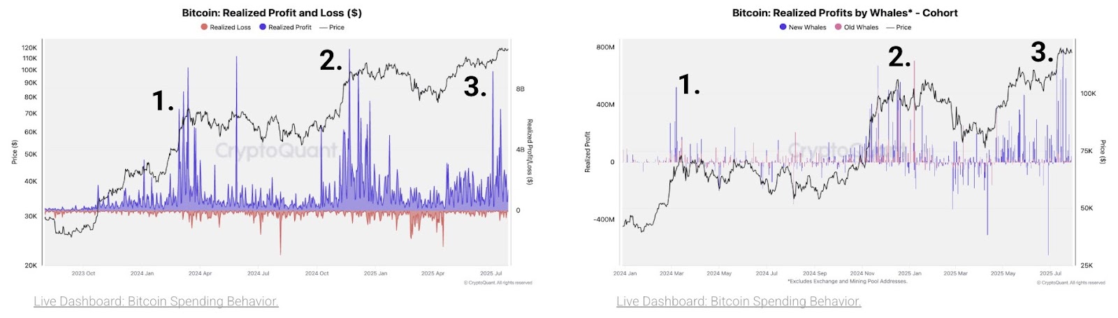 "新鲸鱼入场引发比特币(BTC)第三次获利回吐潮 关键周期信号解析"
