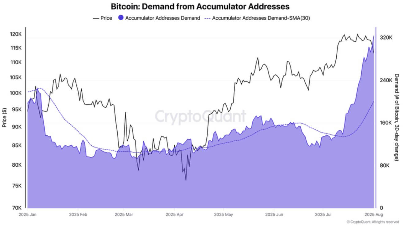 XRP飙升5% 比特币从宏观压力引发的暴跌中复苏