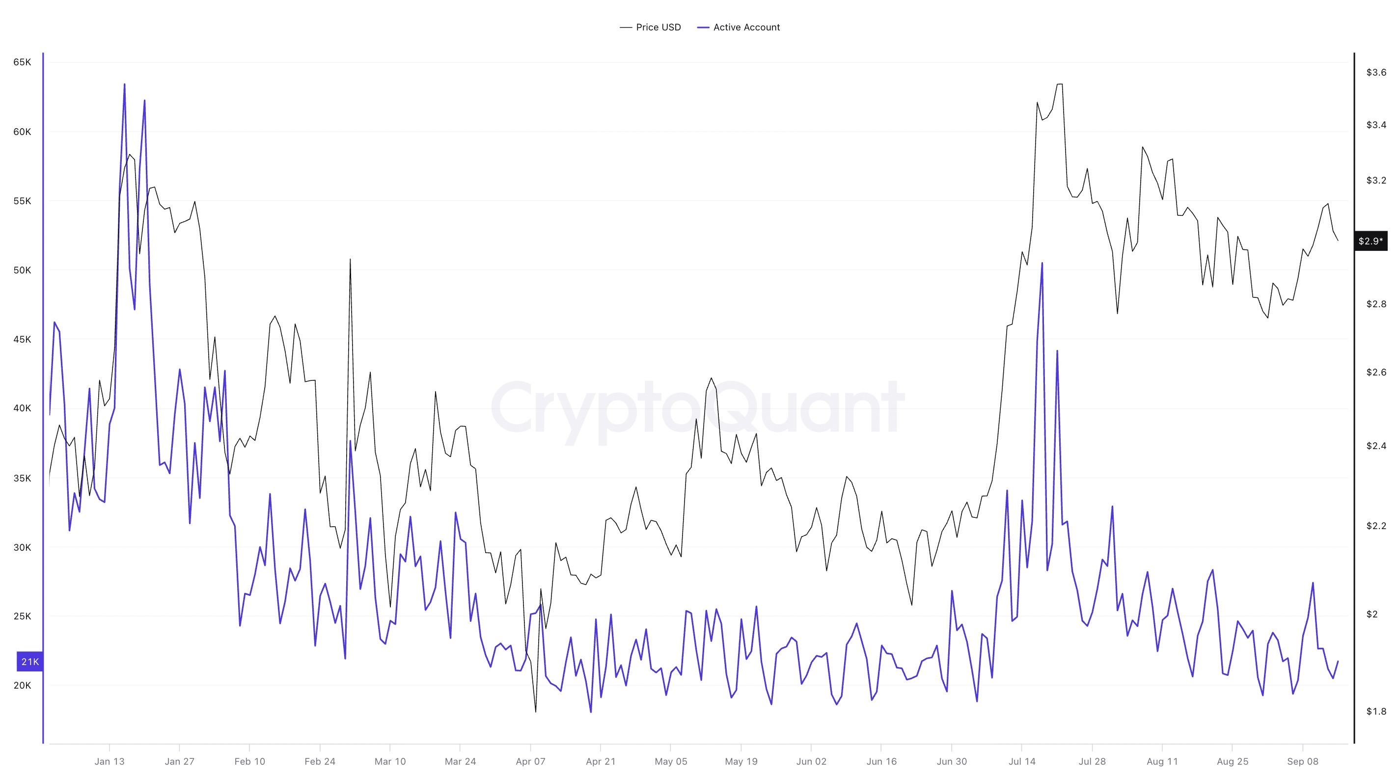 XRP每日活跃地址趋势图