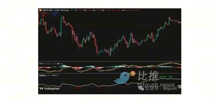 比特币（BTC）周观察：反弹行情或已见顶，投资者需警惕风险