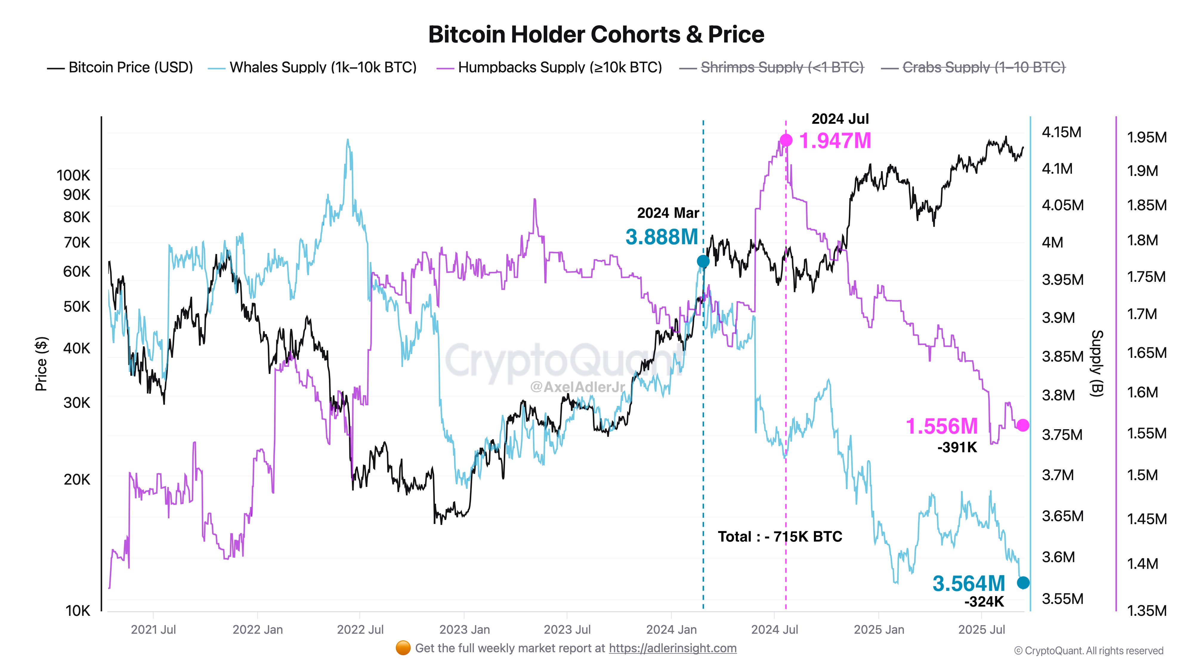 比特币持有者群体分布与价格关系图