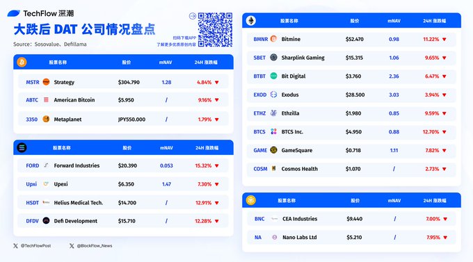 DAT公司市场表现分析