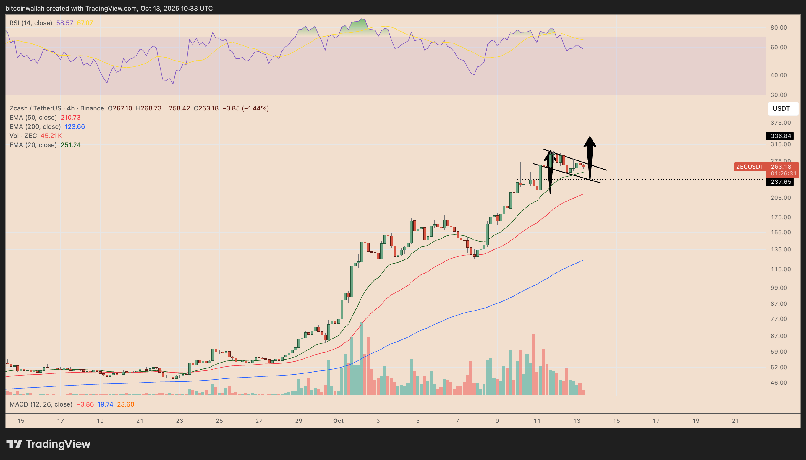 Zcash月度涨幅520%：ZEC价格暴涨后能否继续上涨？
